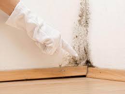 Best Commercial Mold Inspection  in Suncrest, WA